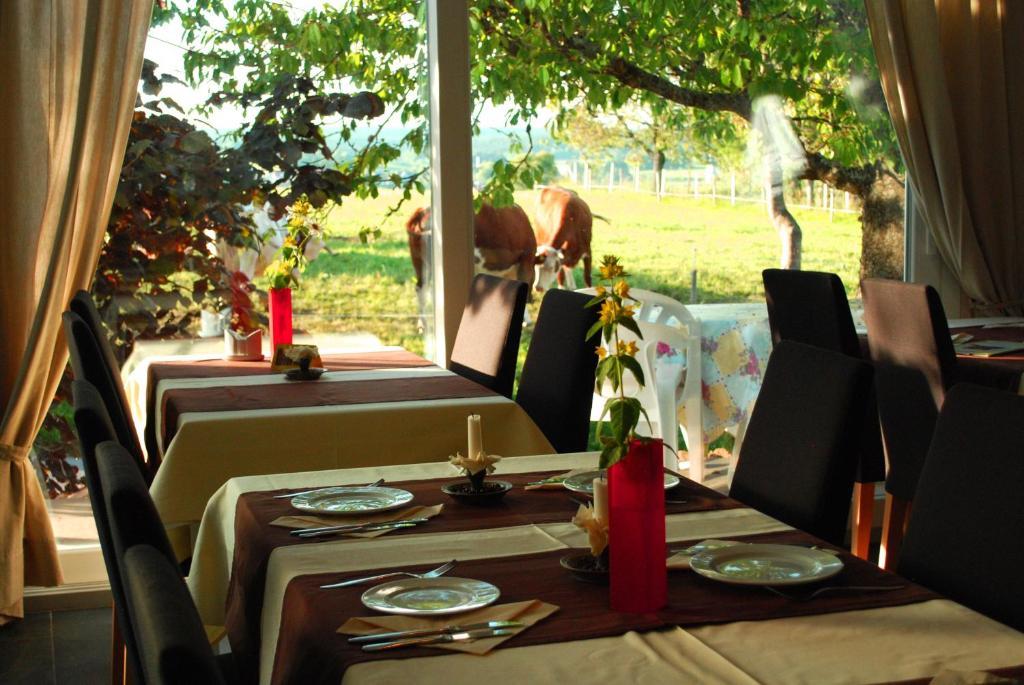 Wellnesshotel Schiesselhof Grafenhausen Phòng bức ảnh